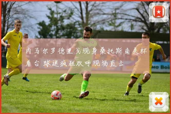 内马尔罗德里戈现身桑托斯南美杯看台 球迷疯狂欢呼现场直击
