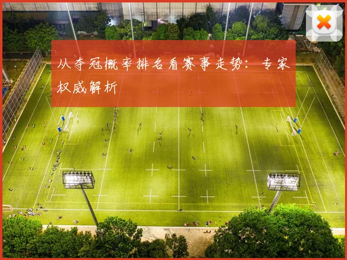 从夺冠概率排名看赛事走势：专家权威解析